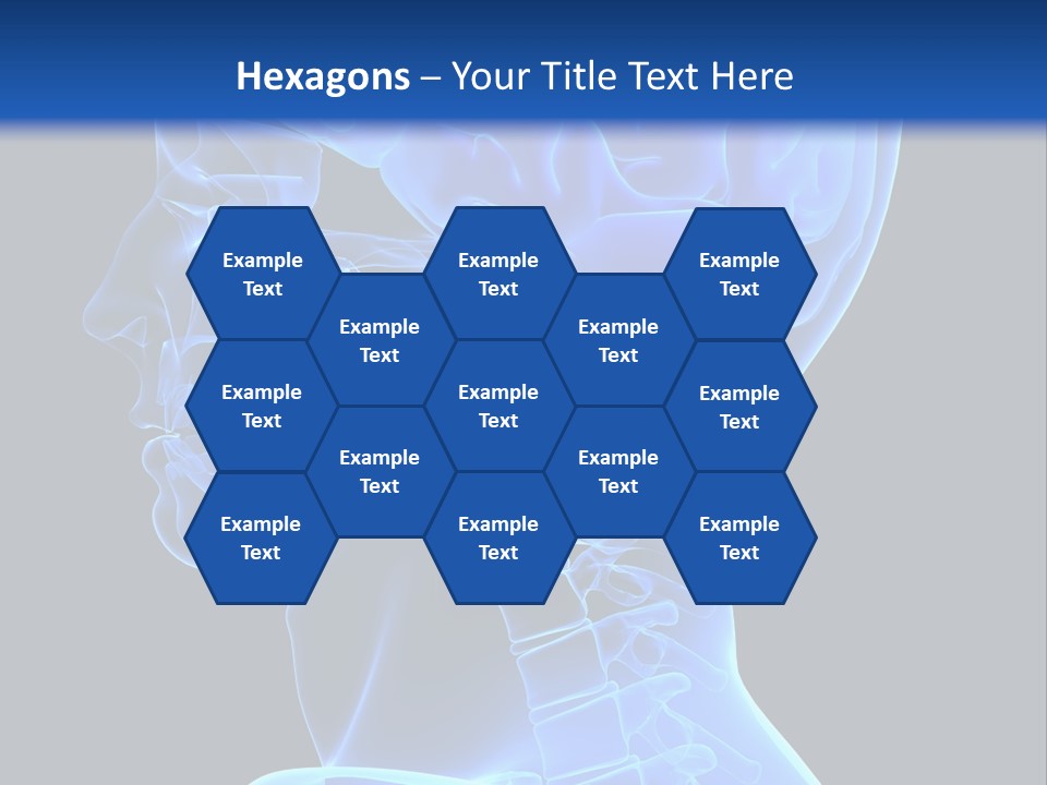 A Skeleton With A Blue Background Is Shown In This Powerpoint Presentation PowerPoint Template