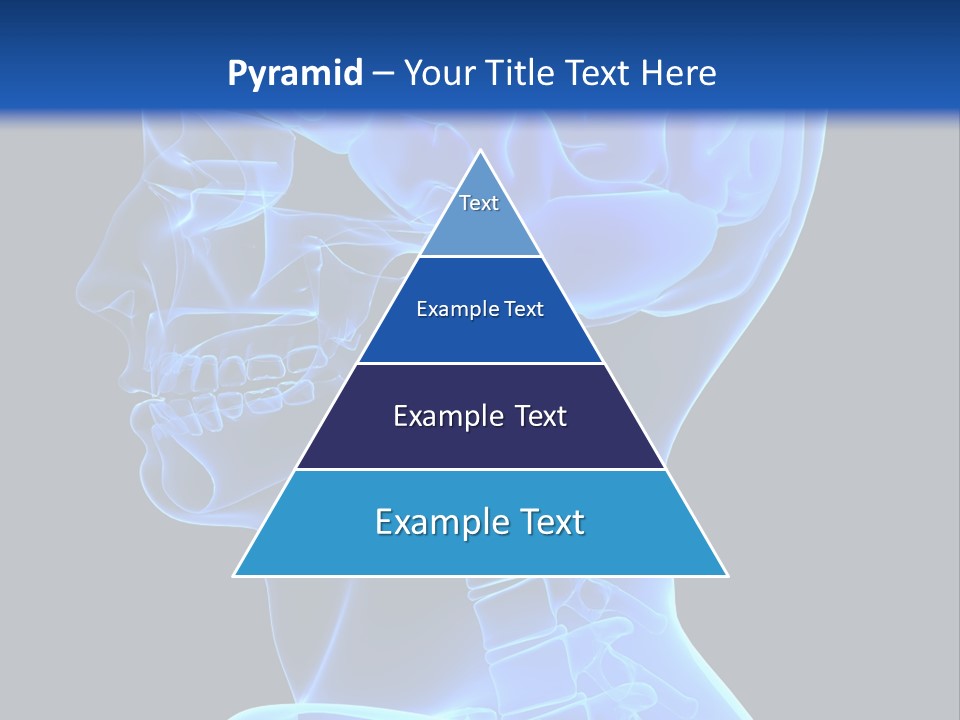 A Skeleton With A Blue Background Is Shown In This Powerpoint Presentation PowerPoint Template