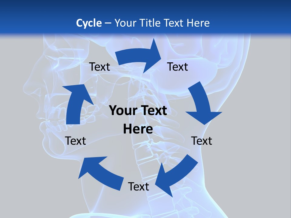 A Skeleton With A Blue Background Is Shown In This Powerpoint Presentation PowerPoint Template