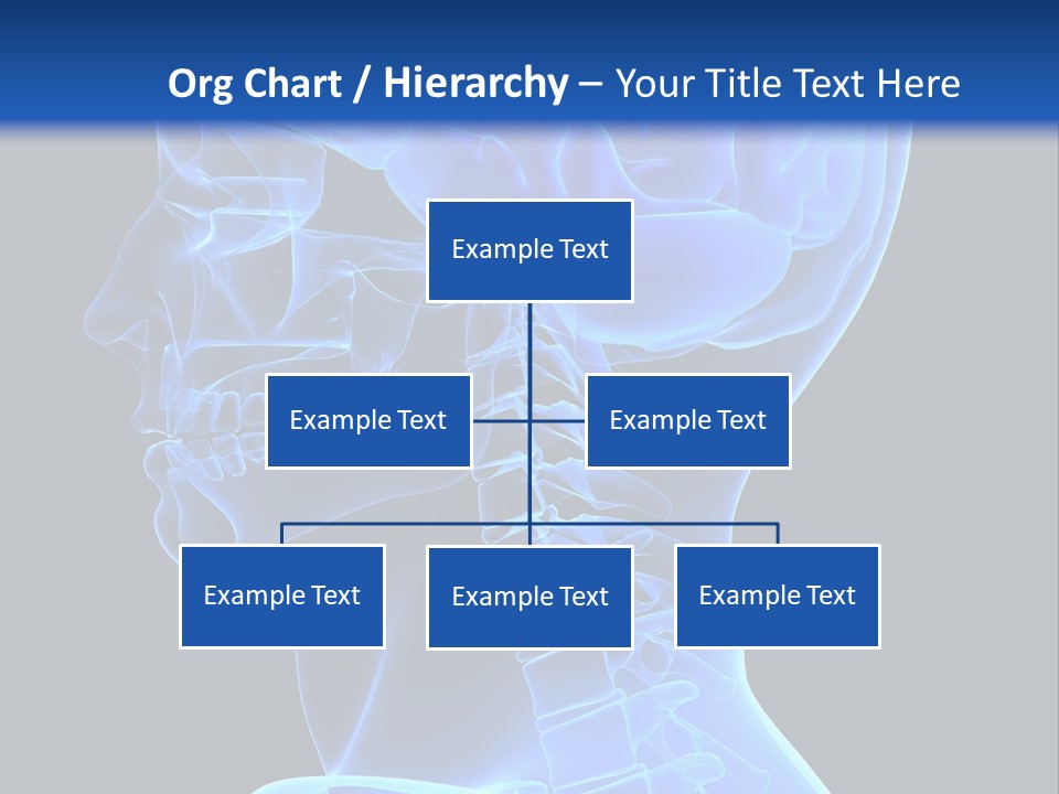 A Skeleton With A Blue Background Is Shown In This Powerpoint Presentation PowerPoint Template