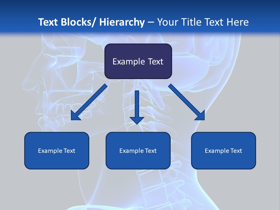 A Skeleton With A Blue Background Is Shown In This Powerpoint Presentation PowerPoint Template