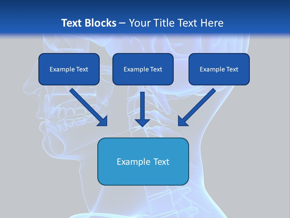 A Skeleton With A Blue Background Is Shown In This Powerpoint Presentation PowerPoint Template
