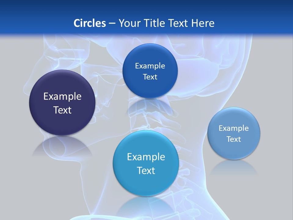 A Skeleton With A Blue Background Is Shown In This Powerpoint Presentation PowerPoint Template