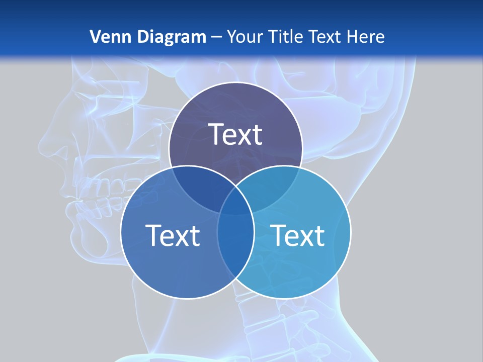 A Skeleton With A Blue Background Is Shown In This Powerpoint Presentation PowerPoint Template