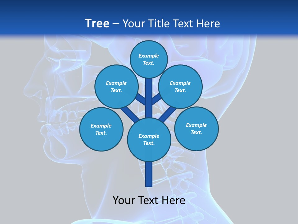 A Skeleton With A Blue Background Is Shown In This Powerpoint Presentation PowerPoint Template