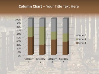 Romance Married Pension PowerPoint Template