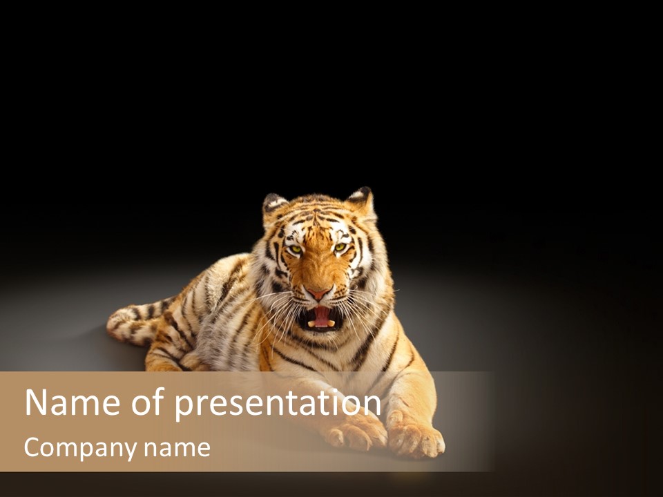 Siberian Wildlife Striped PowerPoint Template