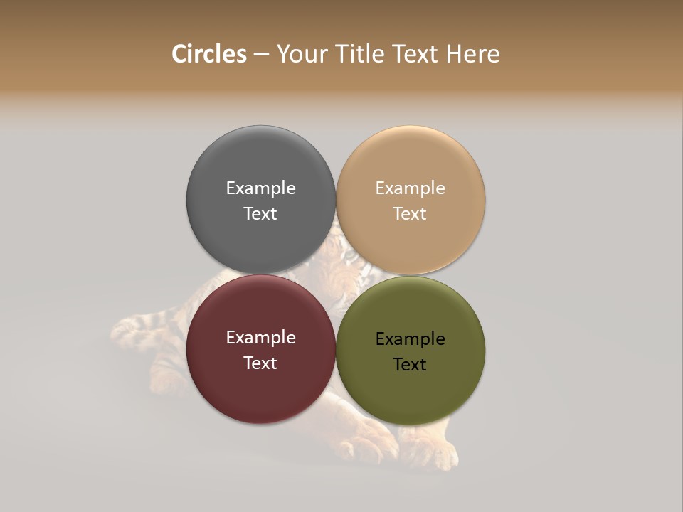 Siberian Wildlife Striped PowerPoint Template