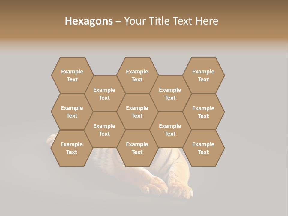 Siberian Wildlife Striped PowerPoint Template