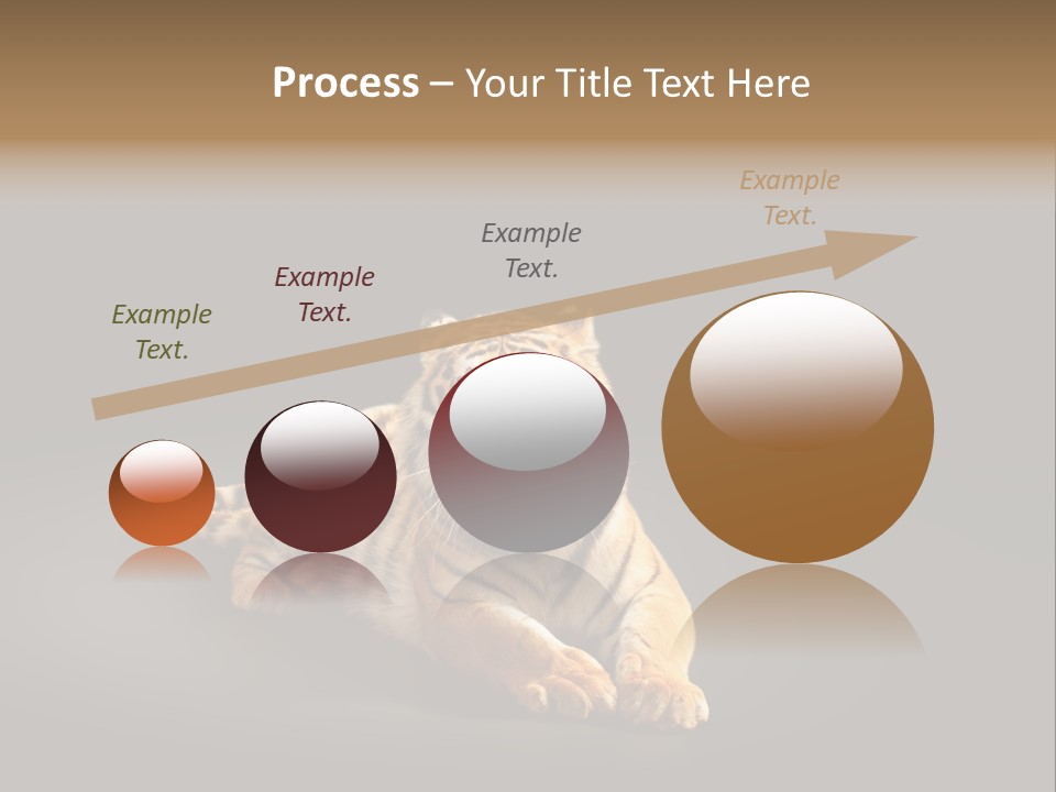 Siberian Wildlife Striped PowerPoint Template