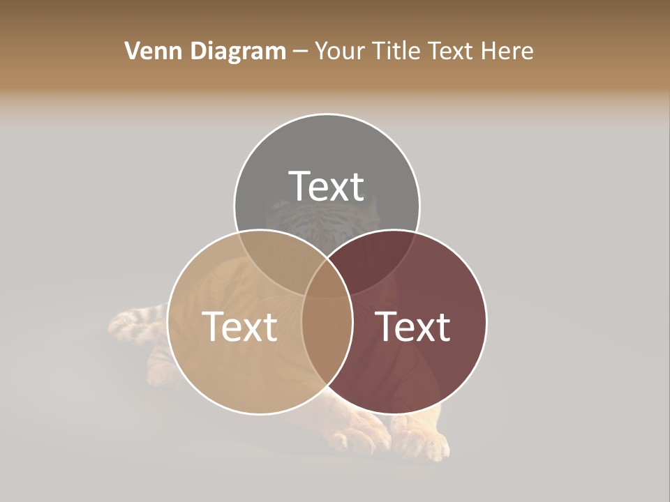 Siberian Wildlife Striped PowerPoint Template