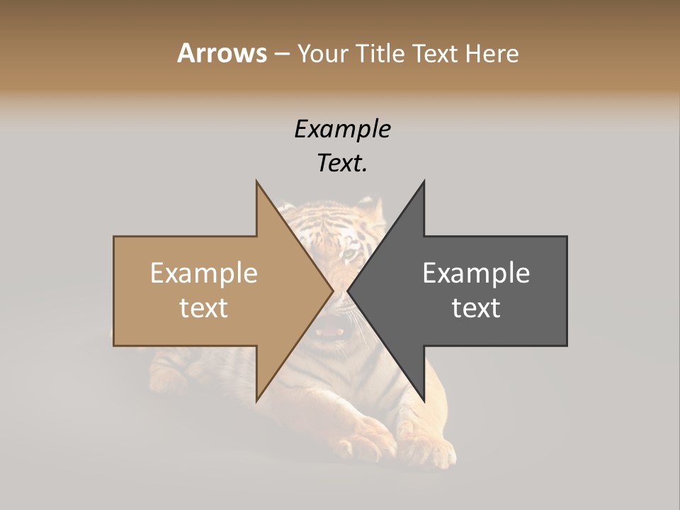 Siberian Wildlife Striped PowerPoint Template