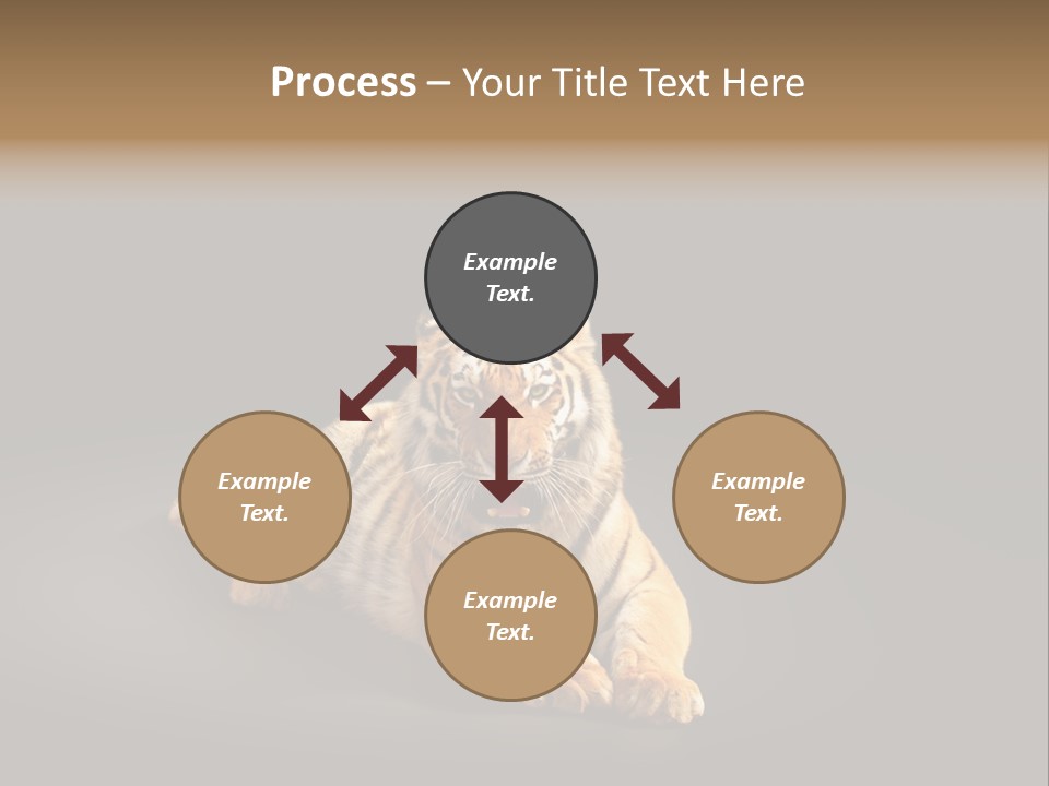 Siberian Wildlife Striped PowerPoint Template