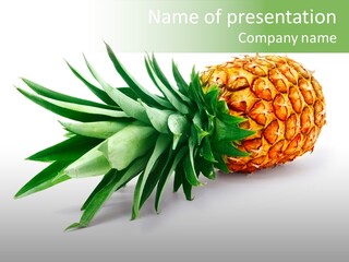 Orange Antioxidant Juice PowerPoint Template