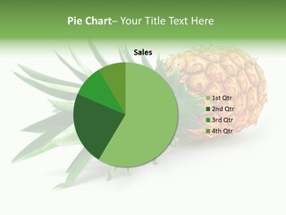 Orange Antioxidant Juice PowerPoint Template