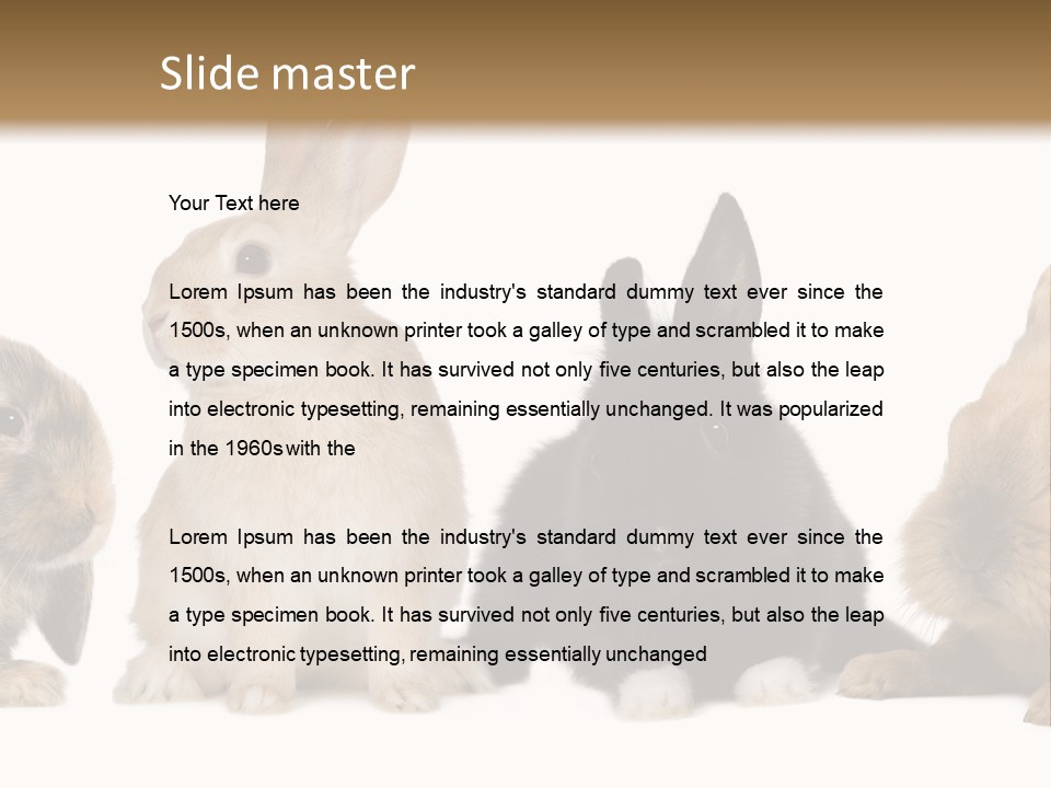 Studio Shot White Background Black PowerPoint Template