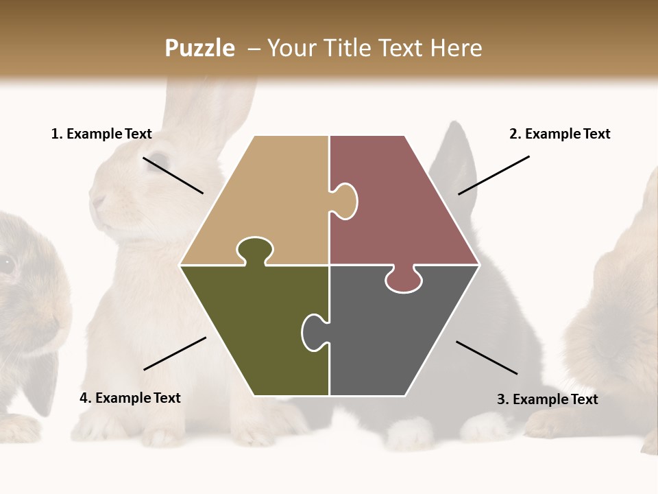 Studio Shot White Background Black PowerPoint Template