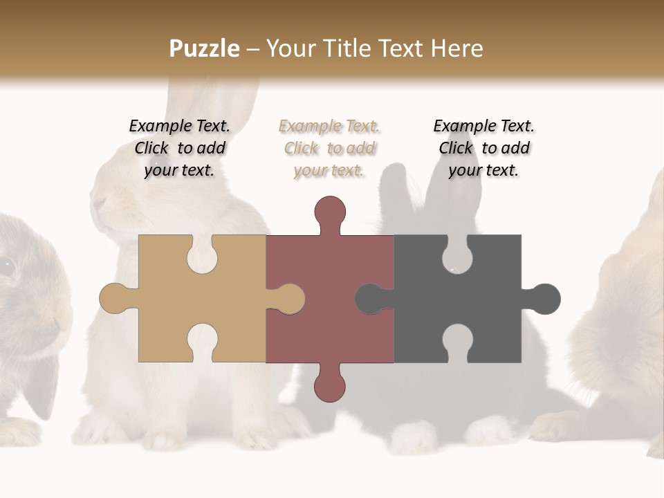 Studio Shot White Background Black PowerPoint Template