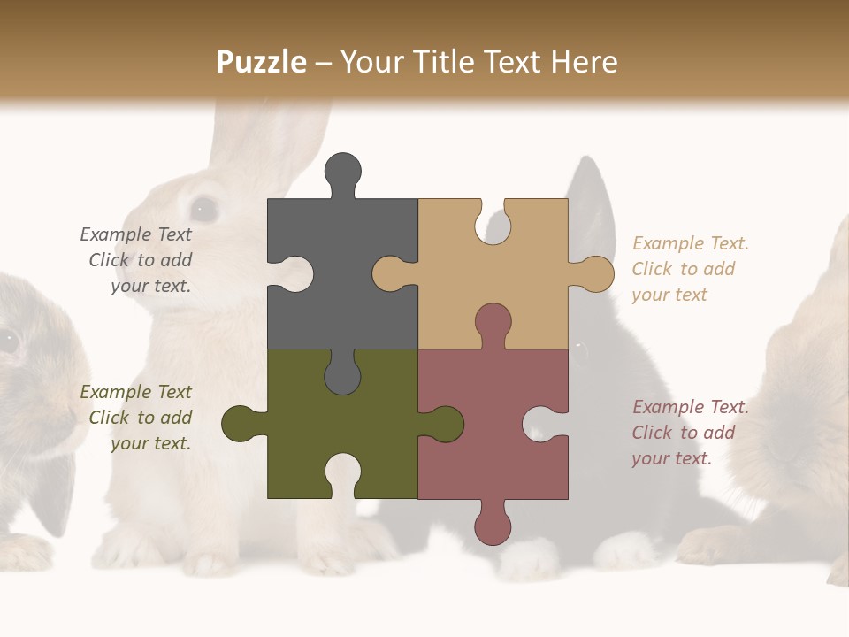 Studio Shot White Background Black PowerPoint Template