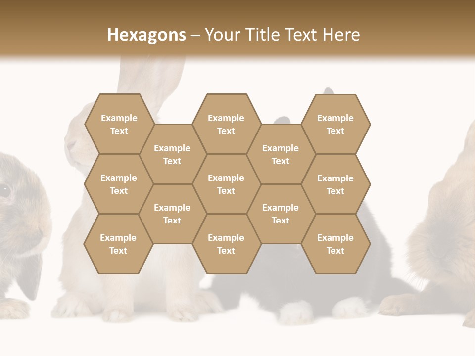 Studio Shot White Background Black PowerPoint Template