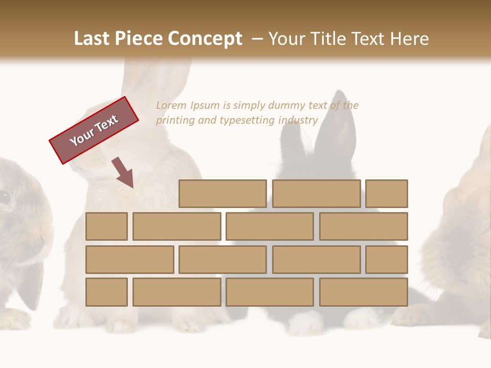 Studio Shot White Background Black PowerPoint Template