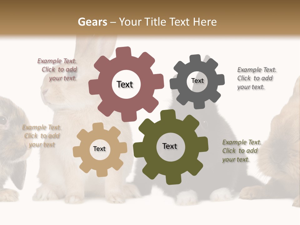 Studio Shot White Background Black PowerPoint Template