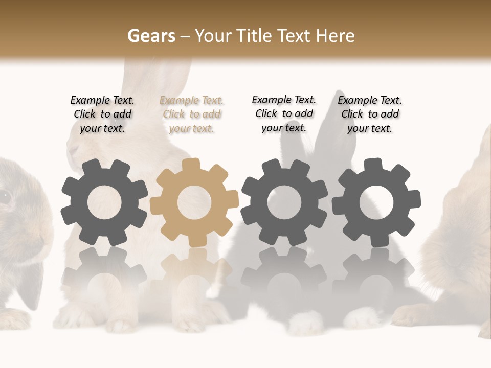 Studio Shot White Background Black PowerPoint Template