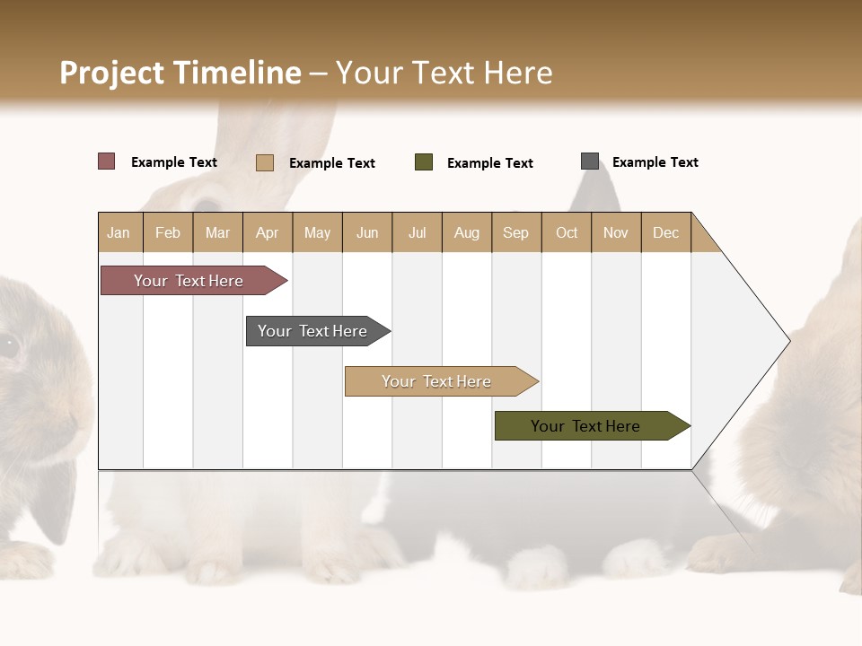 Studio Shot White Background Black PowerPoint Template