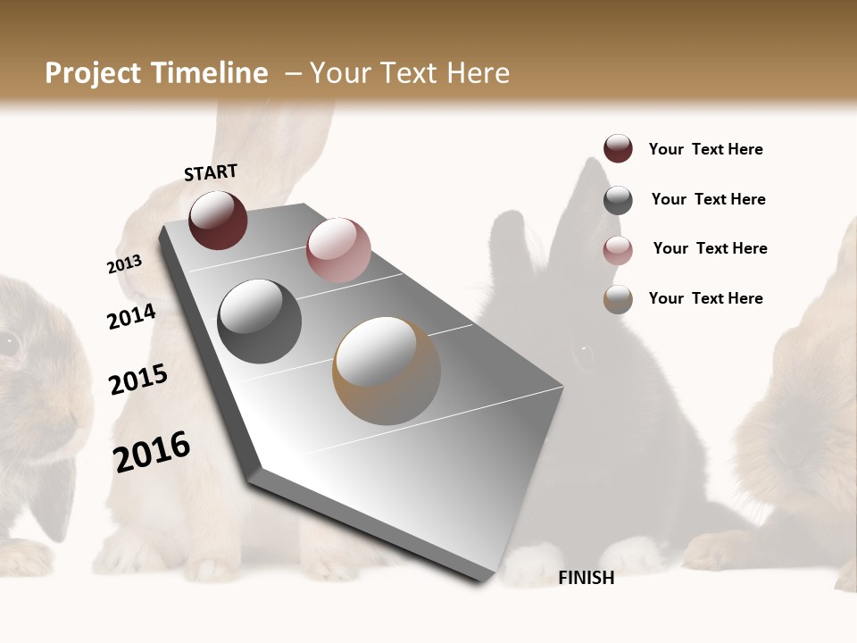 Studio Shot White Background Black PowerPoint Template