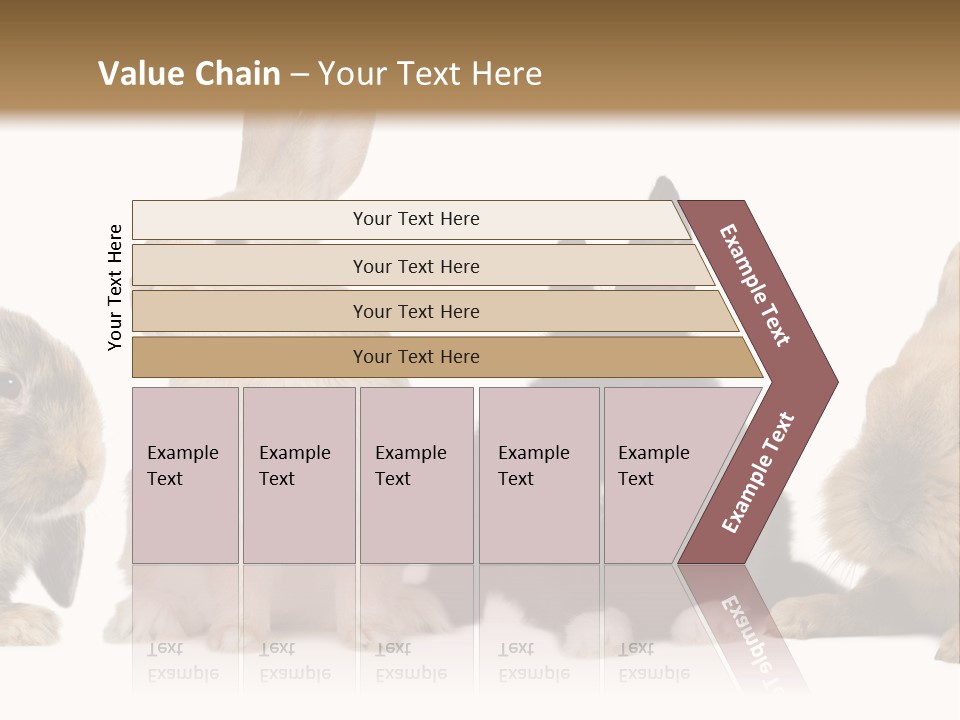 Studio Shot White Background Black PowerPoint Template