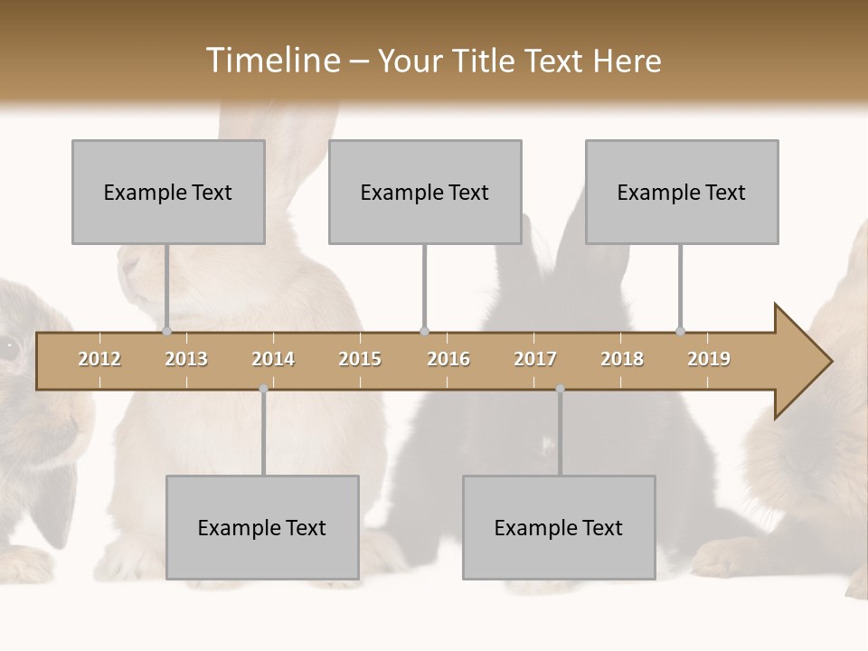 Studio Shot White Background Black PowerPoint Template