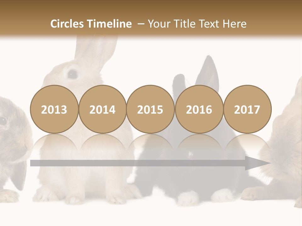 Studio Shot White Background Black PowerPoint Template