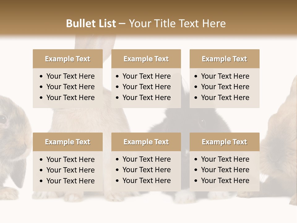 Studio Shot White Background Black PowerPoint Template