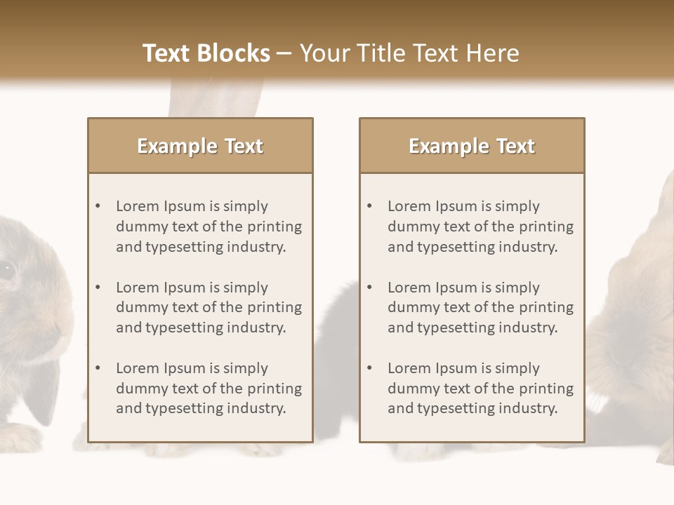 Studio Shot White Background Black PowerPoint Template