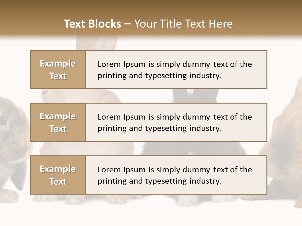 Studio Shot White Background Black PowerPoint Template