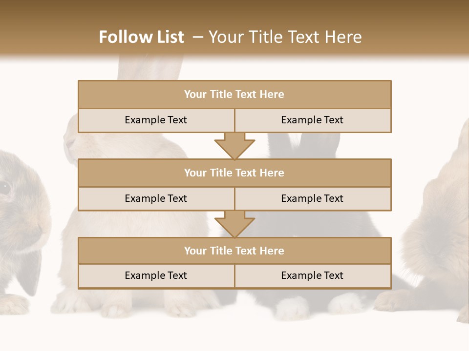 Studio Shot White Background Black PowerPoint Template