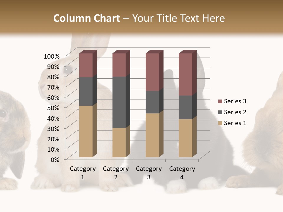 Studio Shot White Background Black PowerPoint Template