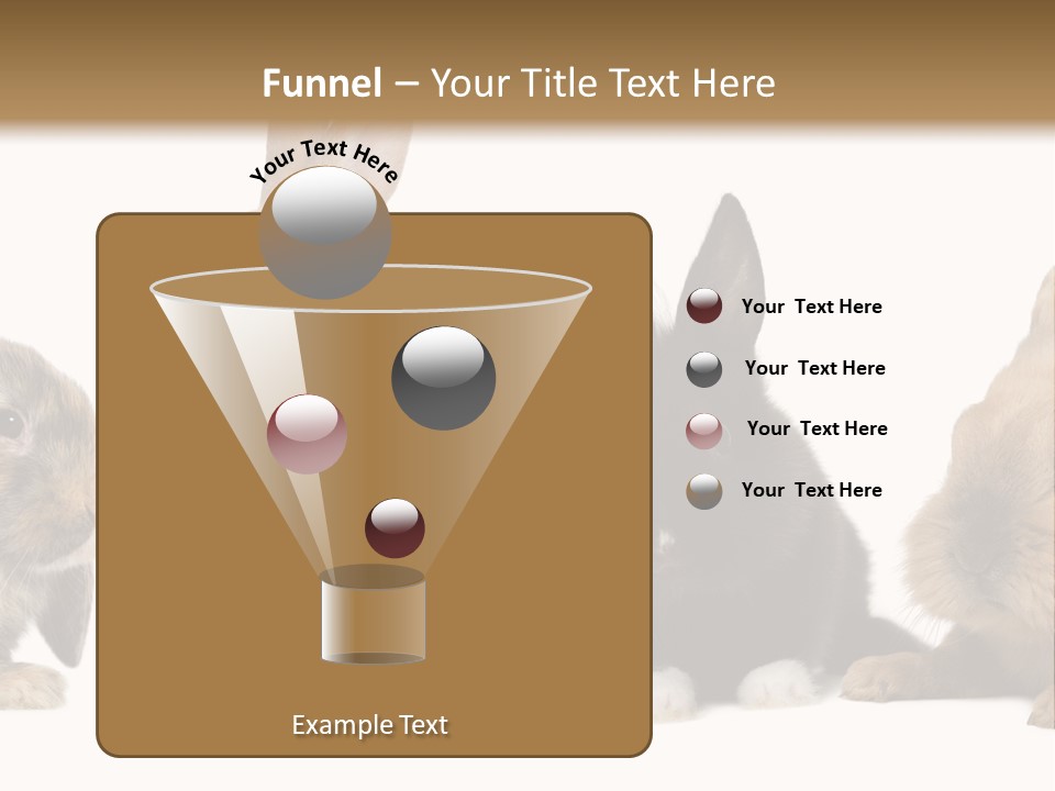 Studio Shot White Background Black PowerPoint Template