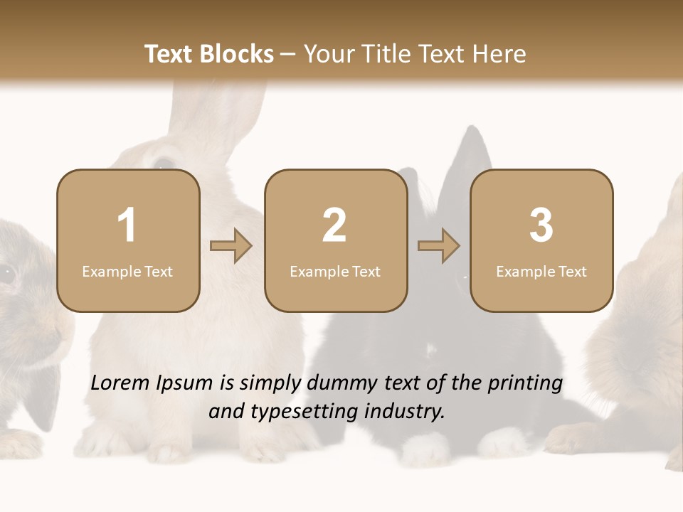 Studio Shot White Background Black PowerPoint Template