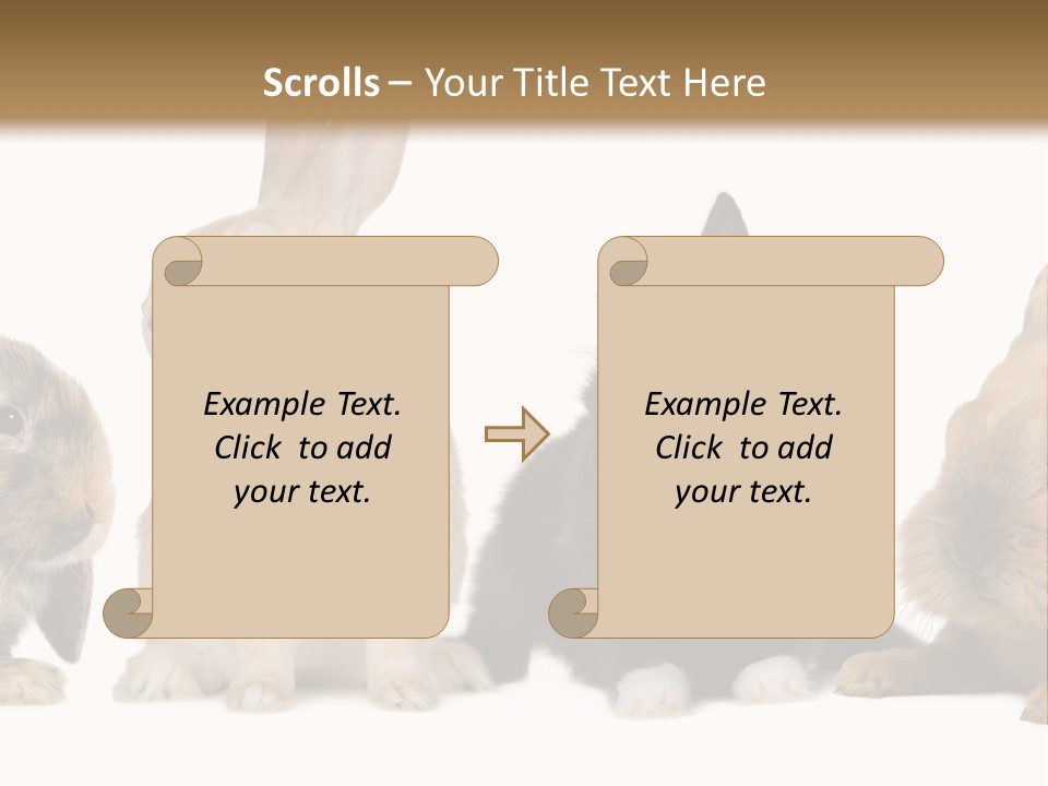 Studio Shot White Background Black PowerPoint Template