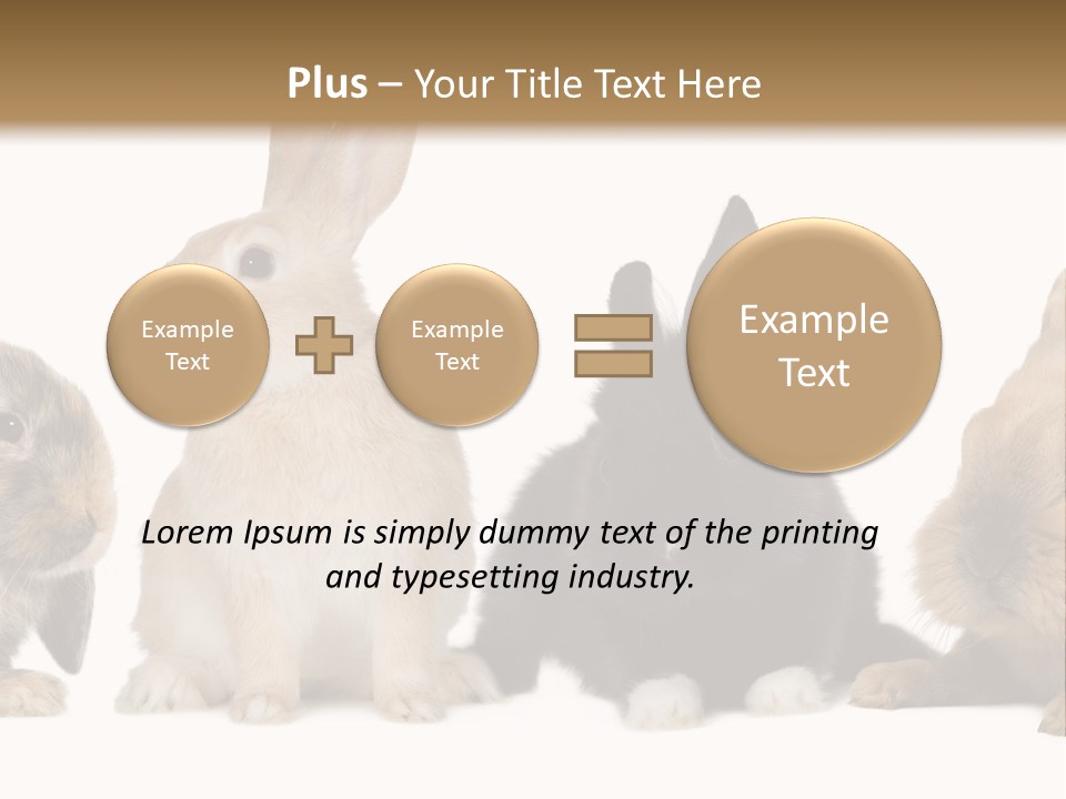 Studio Shot White Background Black PowerPoint Template