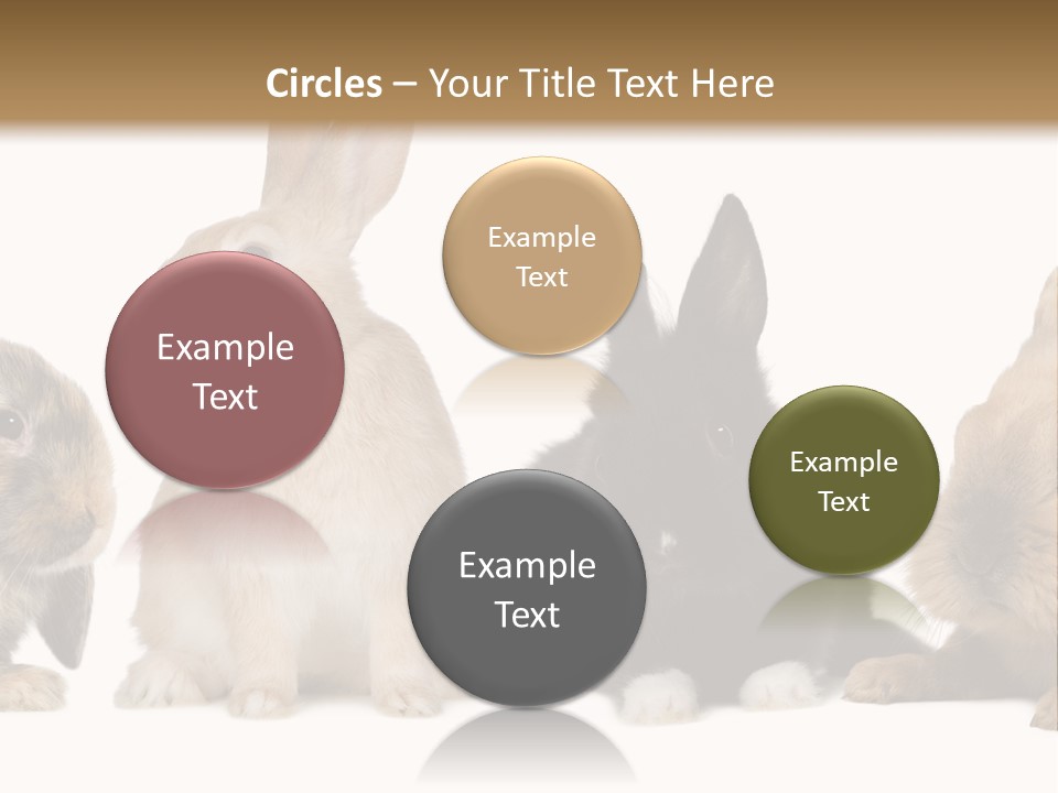 Studio Shot White Background Black PowerPoint Template