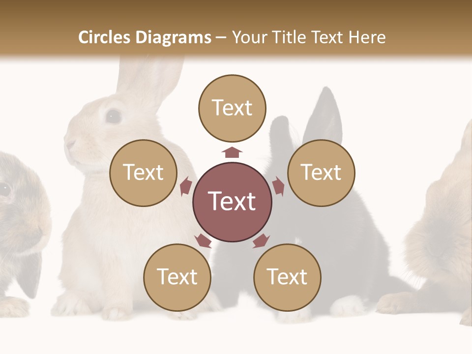 Studio Shot White Background Black PowerPoint Template