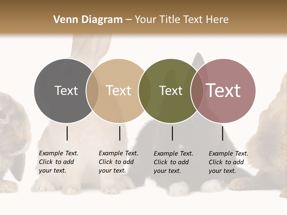 Studio Shot White Background Black PowerPoint Template