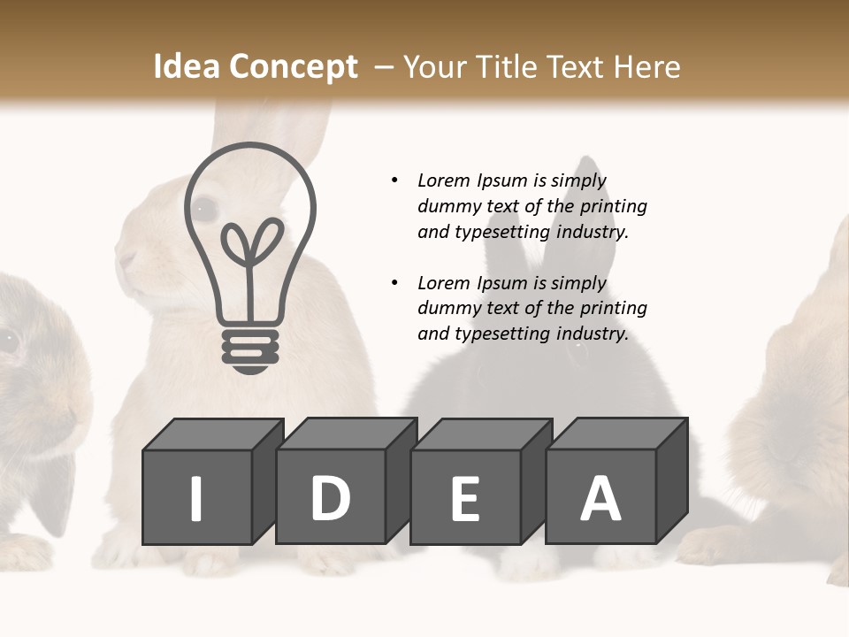 Studio Shot White Background Black PowerPoint Template