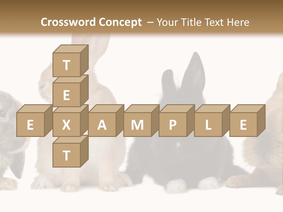 Studio Shot White Background Black PowerPoint Template