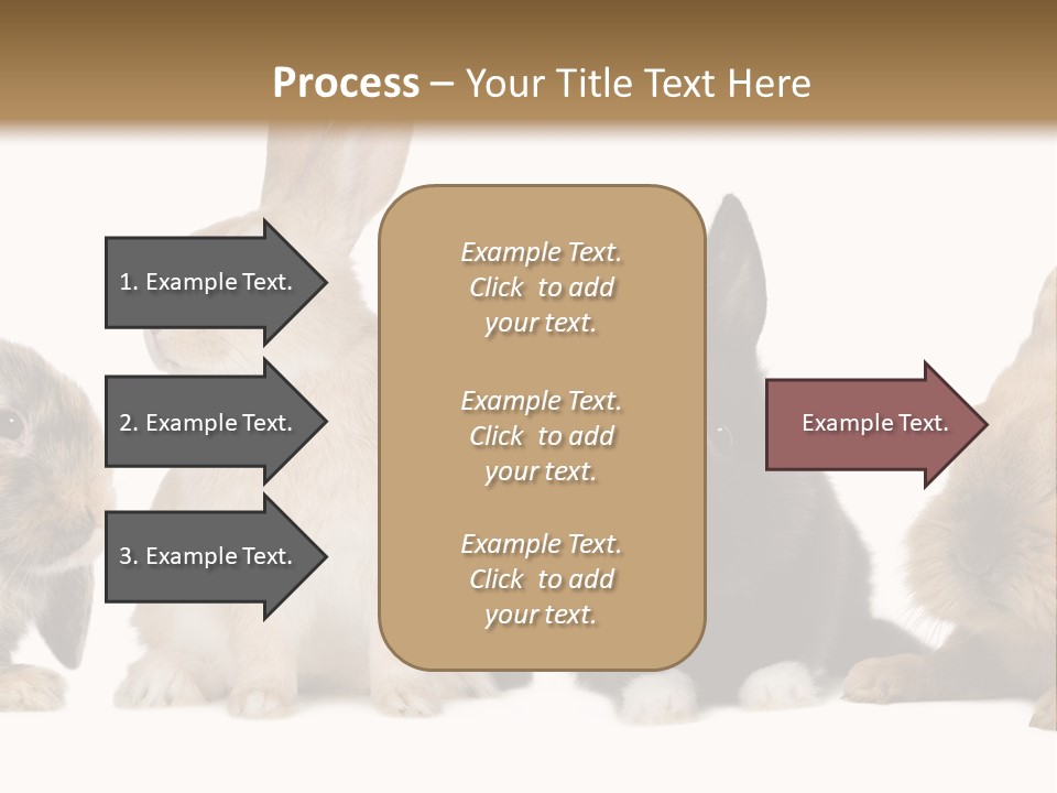 Studio Shot White Background Black PowerPoint Template
