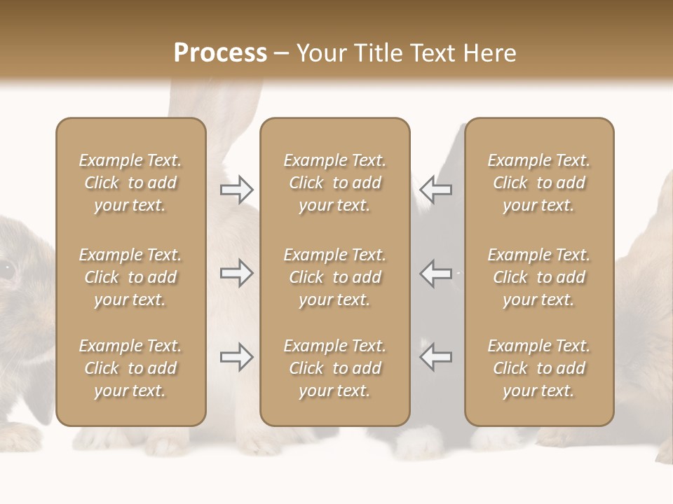Studio Shot White Background Black PowerPoint Template
