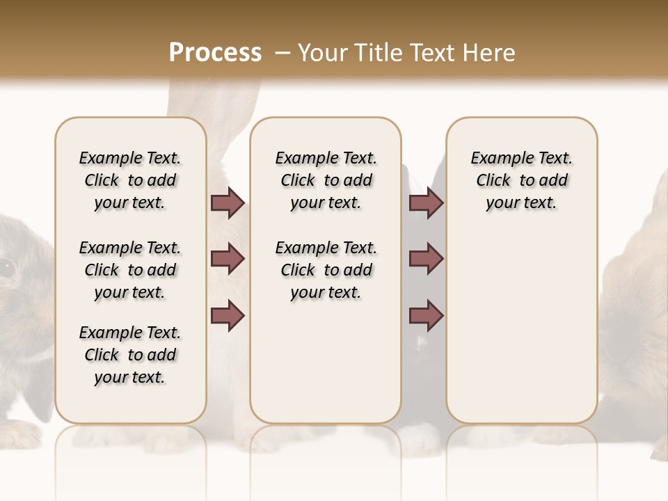 Studio Shot White Background Black PowerPoint Template
