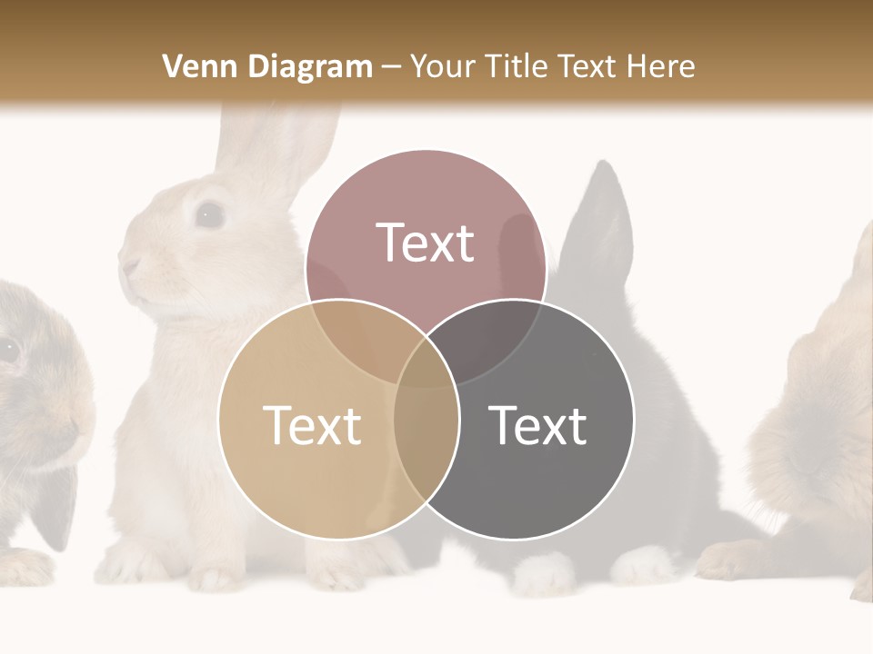 Studio Shot White Background Black PowerPoint Template